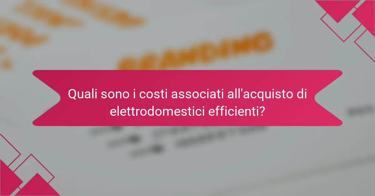 Quali sono i costi associati all'acquisto di elettrodomestici efficienti?